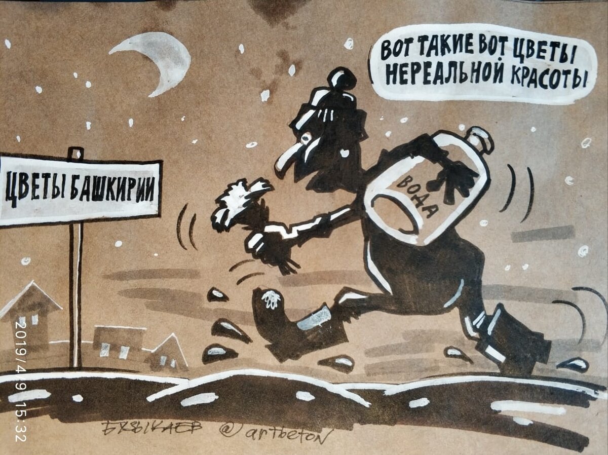 Карикатура Камиля Бузыкаева