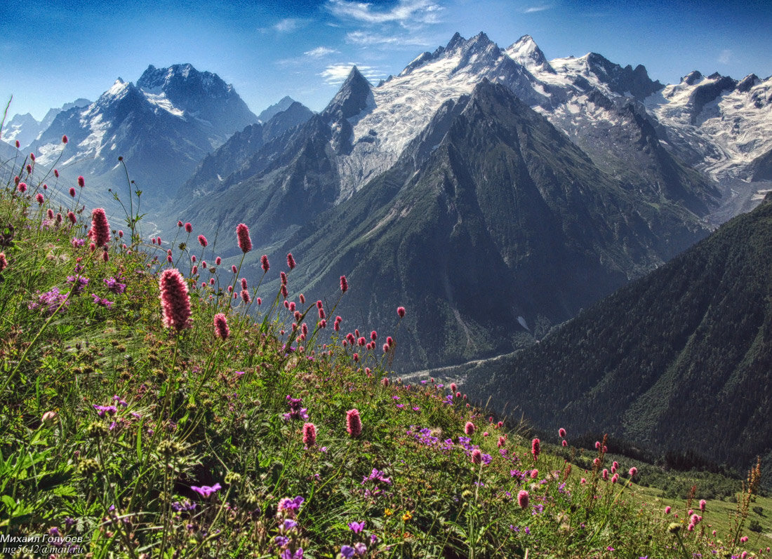 Фото из открытых источников интернета.