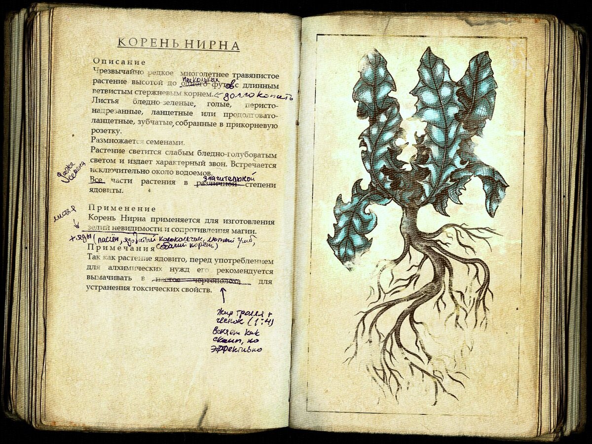 Корень Нирна. Автор: https://blog-house.pro/author/1408/