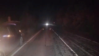 Источник фото: МВД России по Приморскому краю