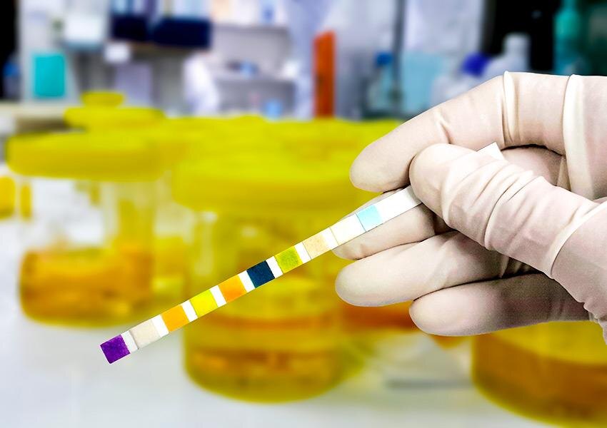 Фото: Shutterstock / VOSTOCK Photo