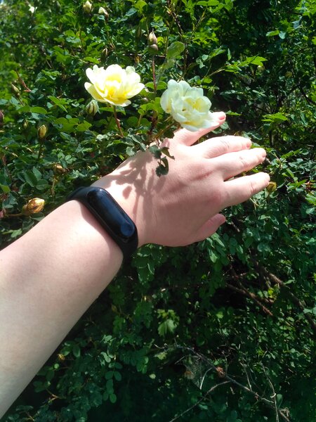 Фотография фитнес-браслета на руке