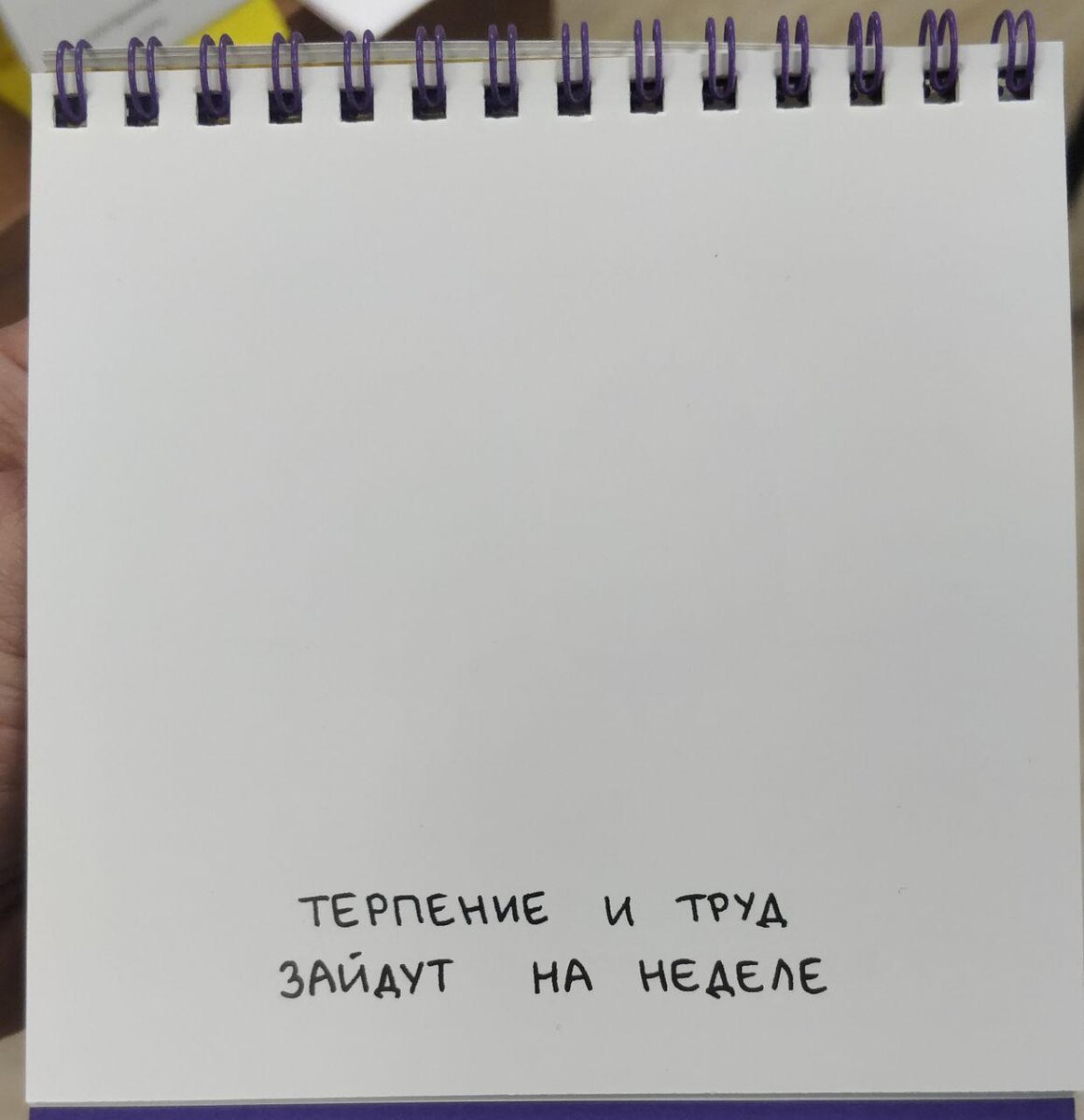 а надо пистаь отчет!