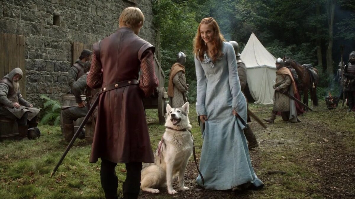 Санса Старк и ее лютоволчица Леди.