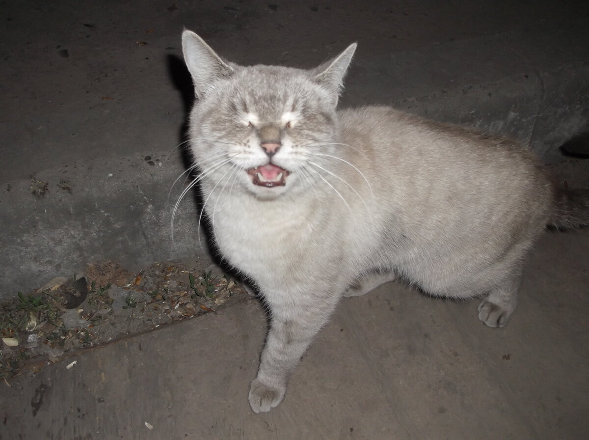 За что ей все это?