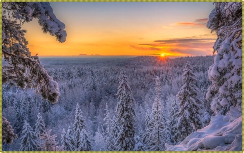 фото взято из интернета