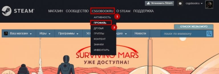 Как поставить фон профиля в Steam