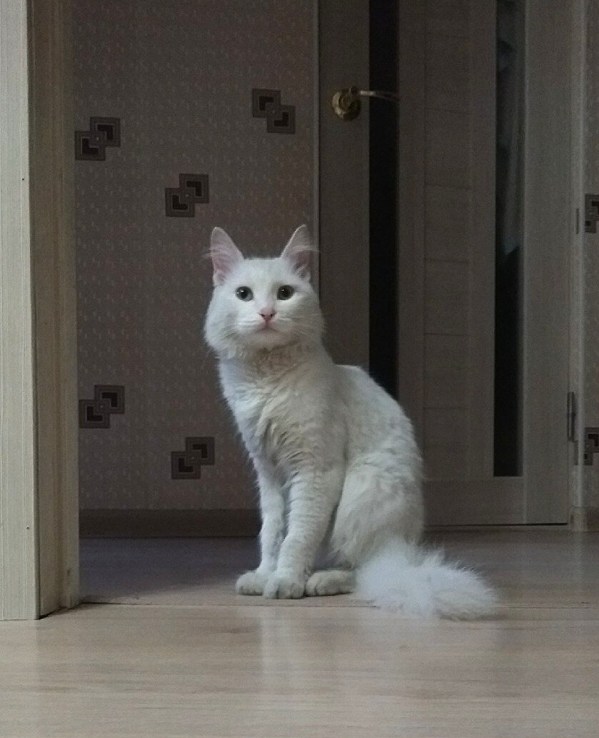 Он сидит и не знает, чем бы заняться