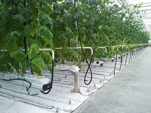 "Такая система – это удобно, ведь можно будет экономить время на другие занятия и работу". Фото: надальнийвосток.рф