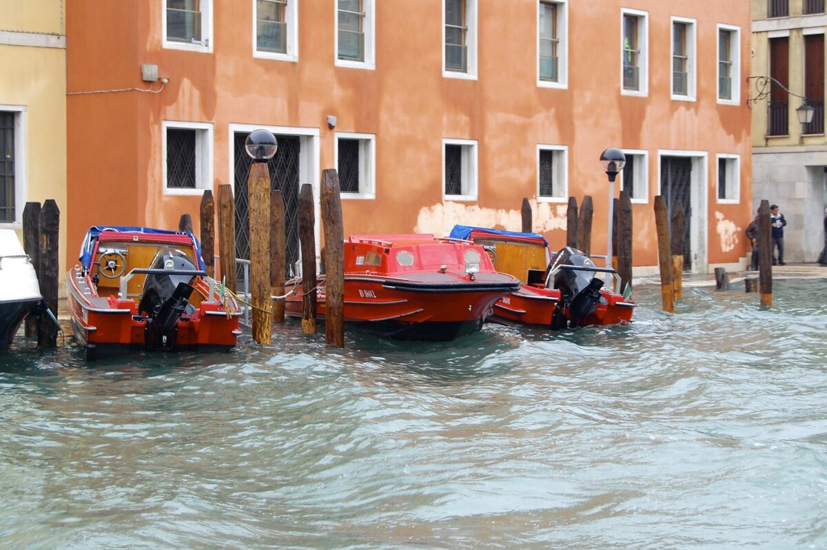 Фото из интернета