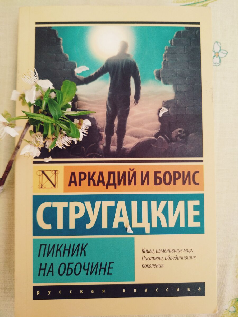 Стругацкие пикник на обочине картинки