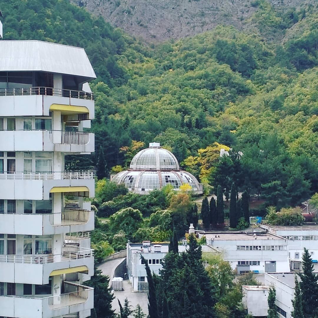 Партенит