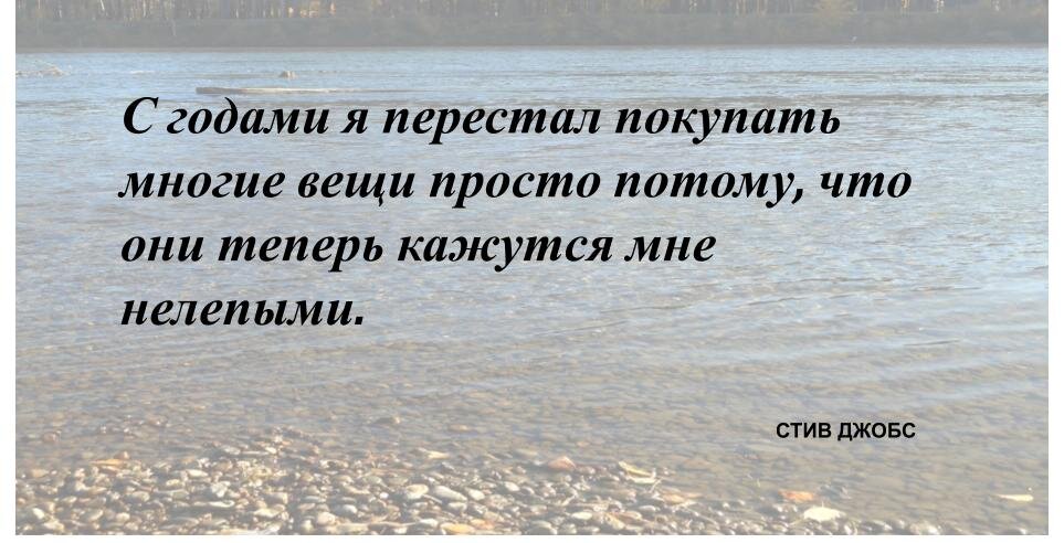 Стив Джобс о бизнесе. 250 высказываний человека, изменившего мир