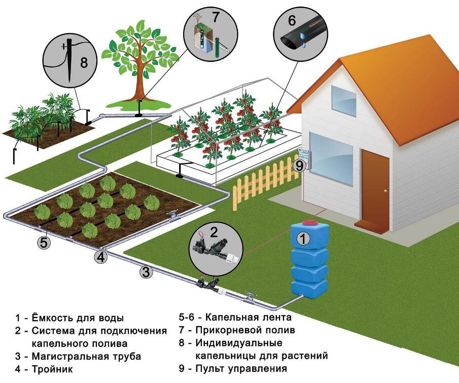 Схема капельного полива участка
