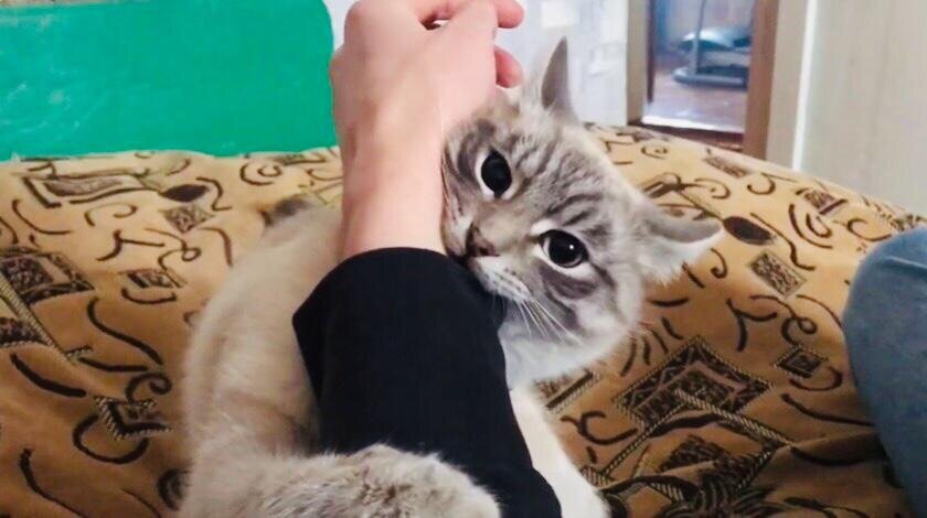 Вот она моя Манечка.