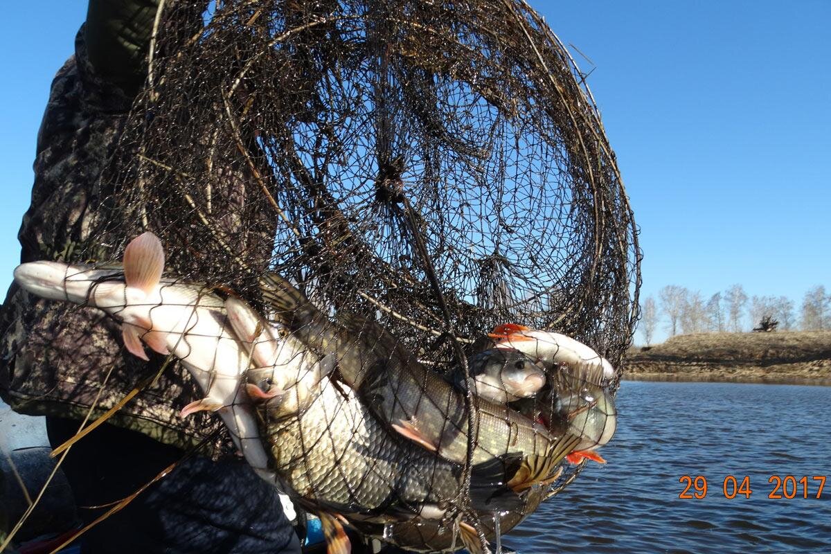 Фото: Олег Раевский
