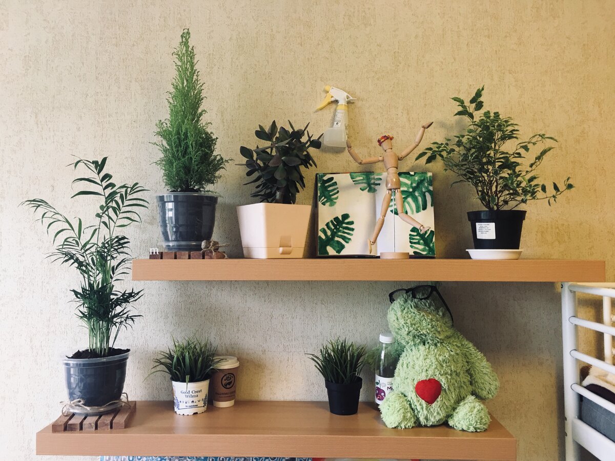 Первая композиция, составленная лично мной. Подробнее в следующей статье!