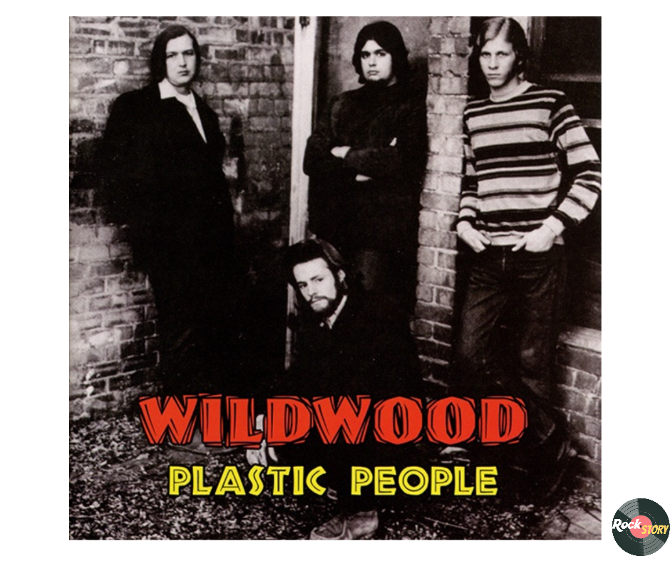На фотографии обложка альбома Plastic People группы The Wildwood.