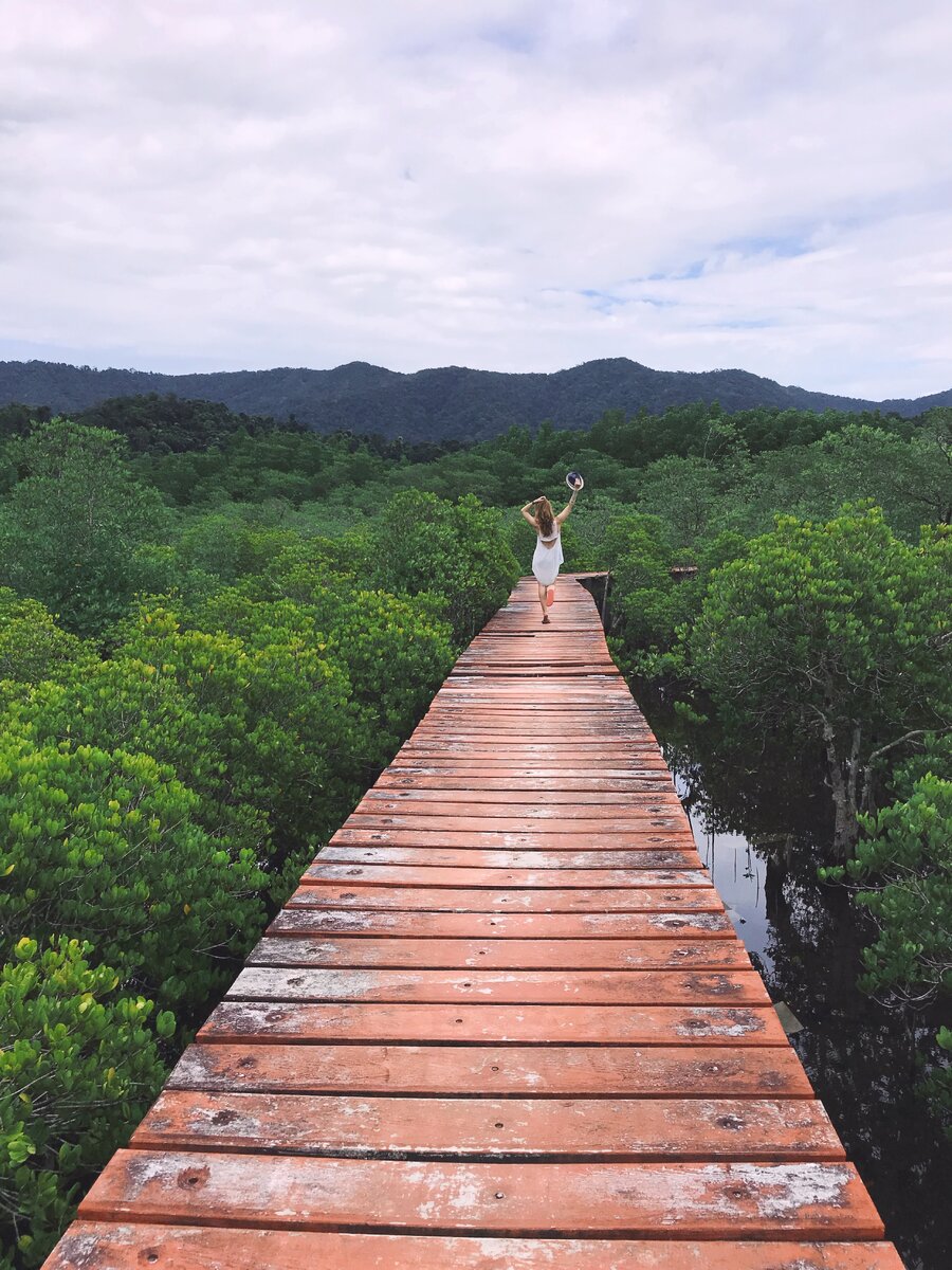 Мангровый лес, Koh Chang