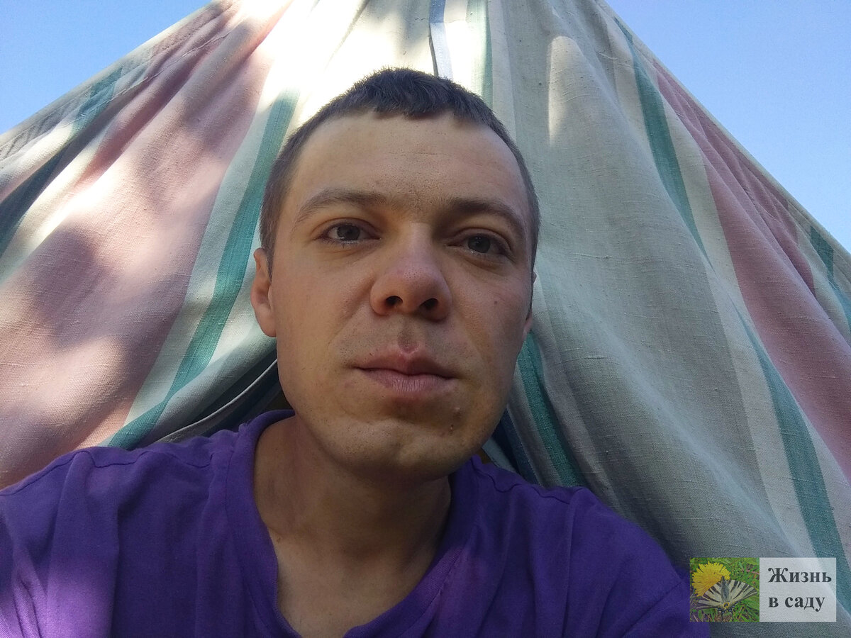 Пробуждение состоялось