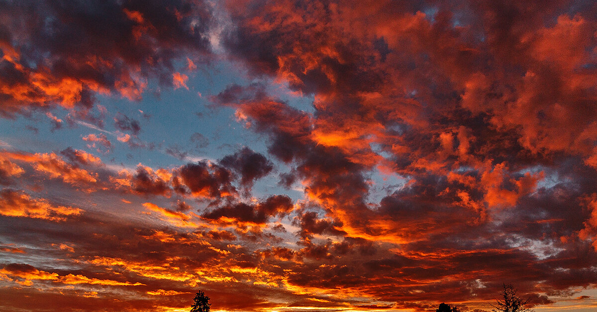 Изображение, найденное на просторах Интернета.