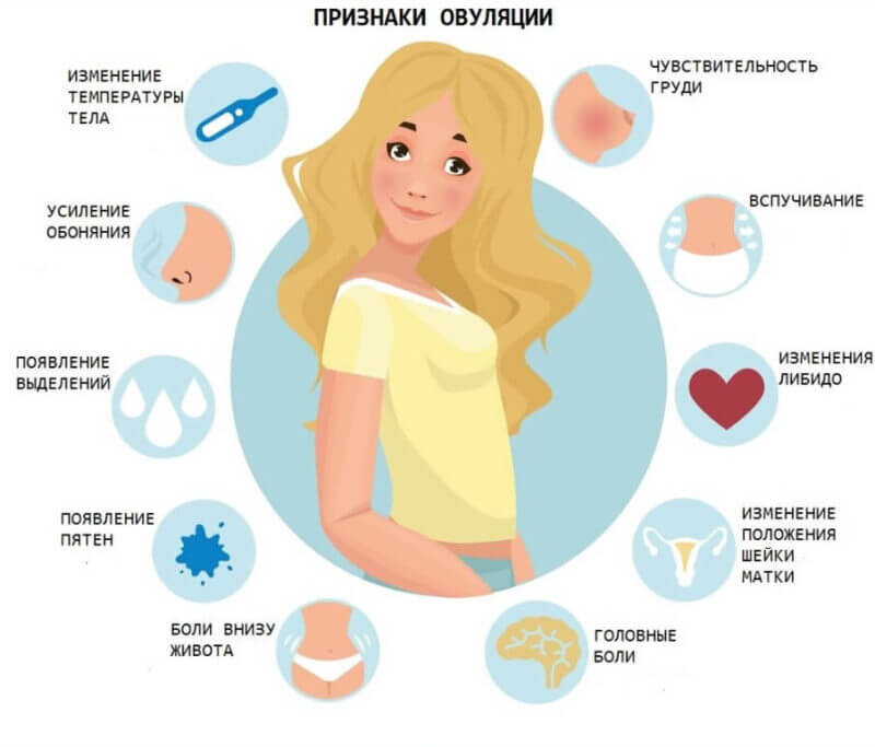 Источник: Яндекс.Картинки