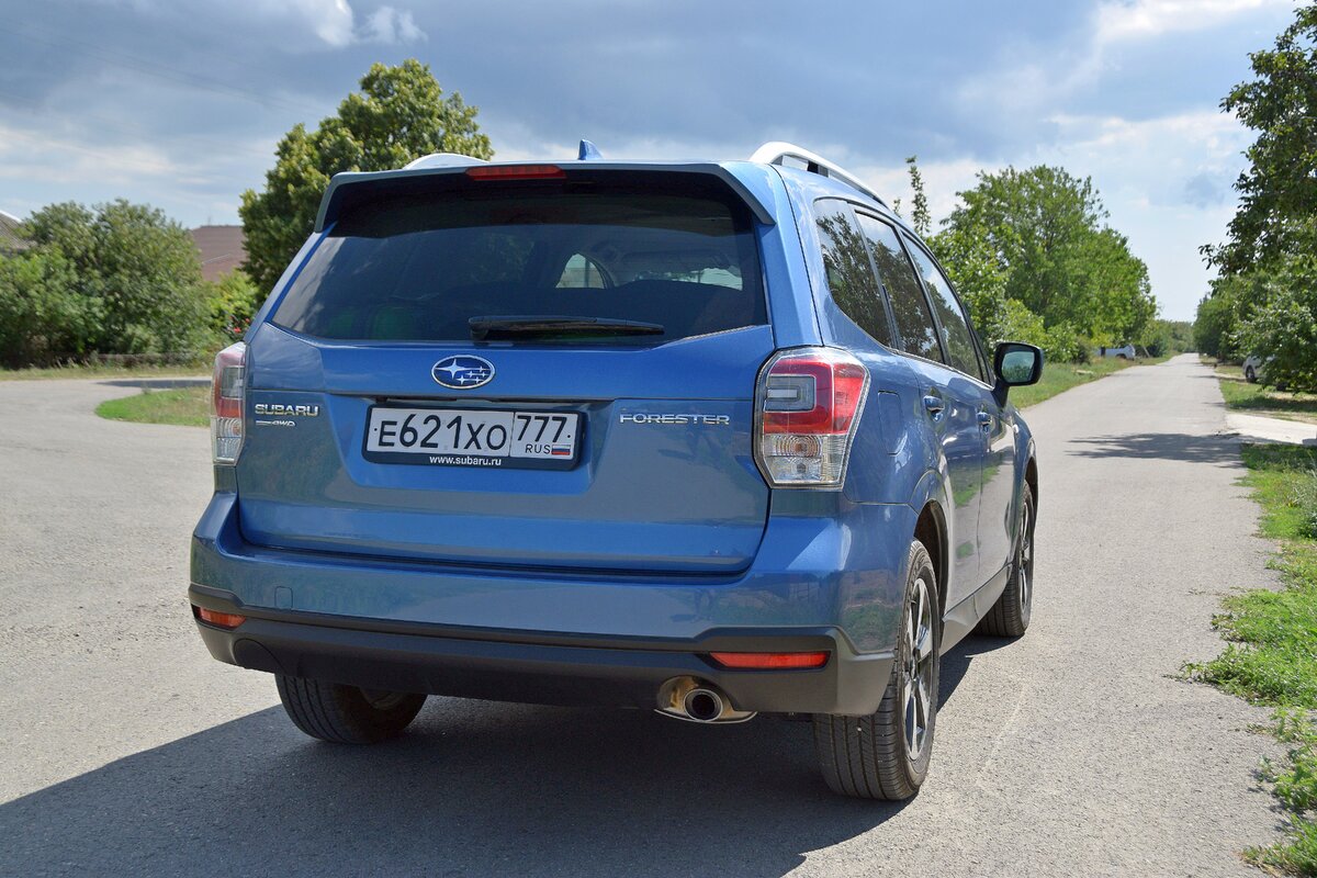 НА SUBARU FORESTER К АЗОВСКОМУ МОРЮ | АВТОТУРИСТ | Дзен