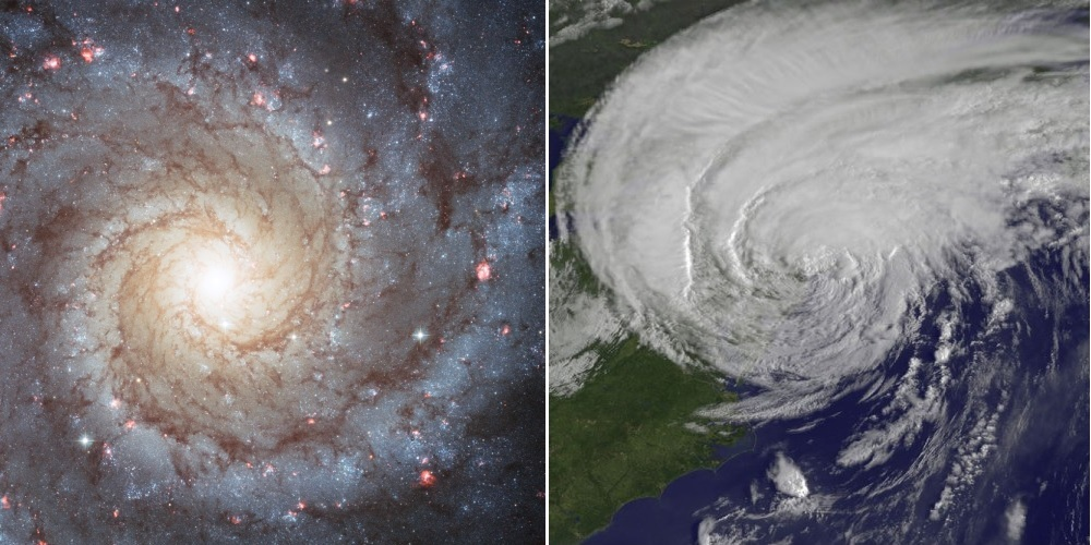 The Fibonacci Sequence: The Fingerprint of the Gods.