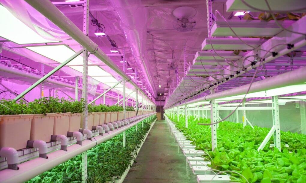 автоматизация теплиц