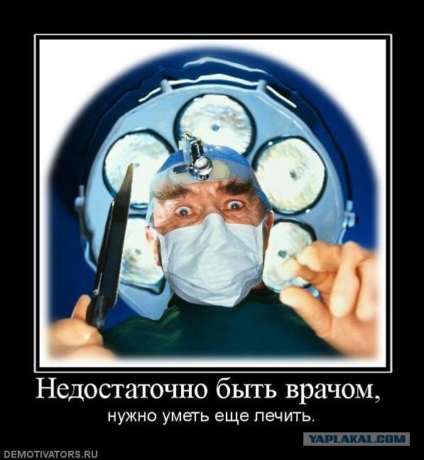 Фото из открытого источника