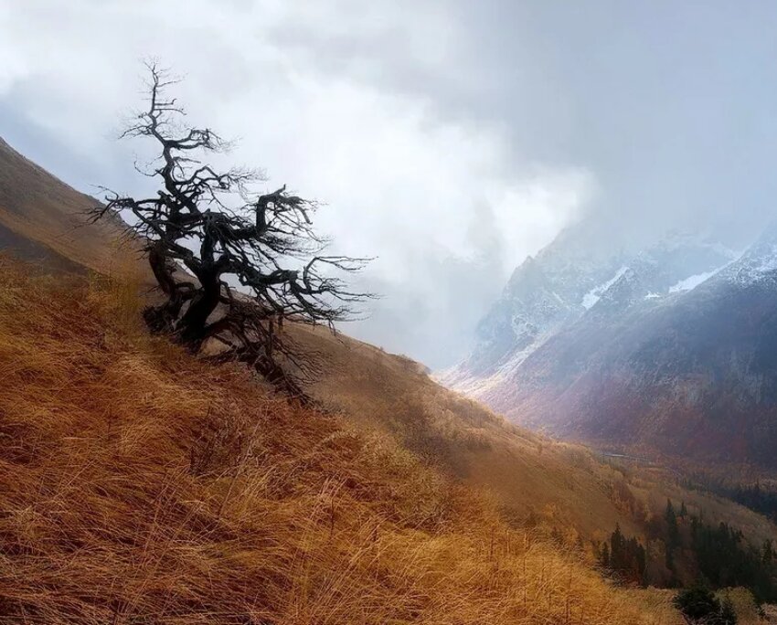 Должно быть тяжело, иначе всё это не имеет смысла (фото - photogorky.ru)
