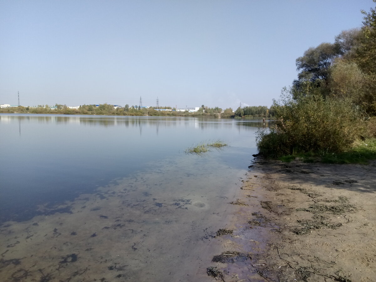 Река в ставрополе. Покровские Пески Саратов. Пляж Покровские Пески Саратов. Саратов Покровские Пески городской пляж. Покровский остров Саратов.