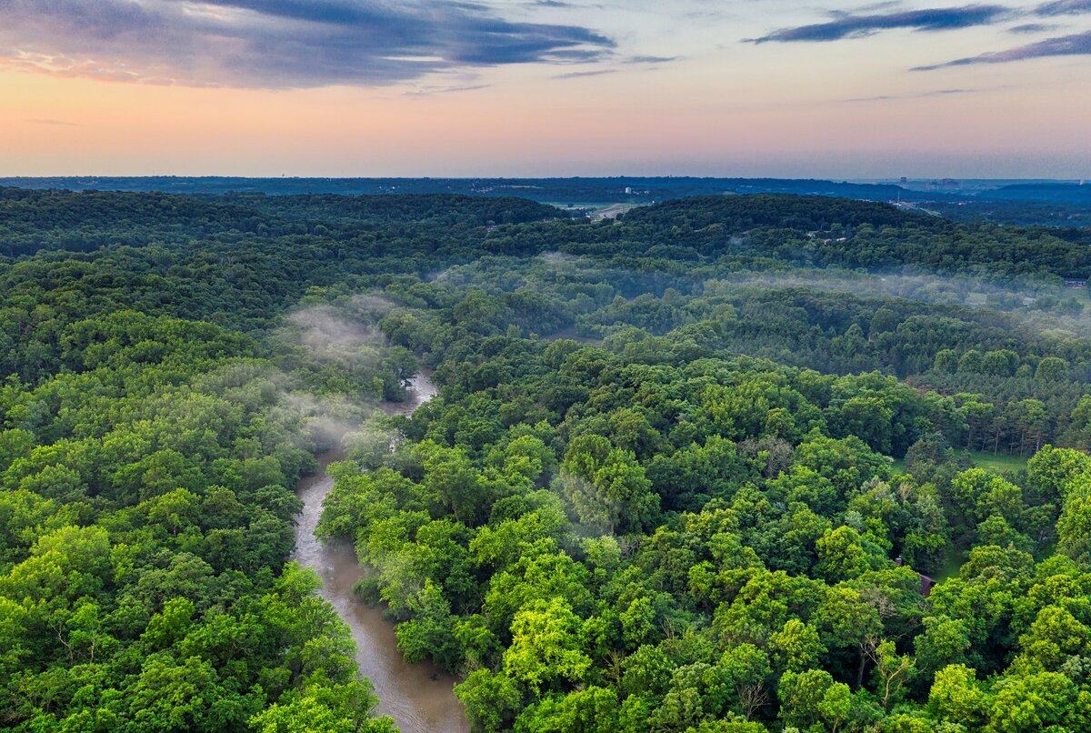 https://www.pexels.com/photo/green-forest-2739664/