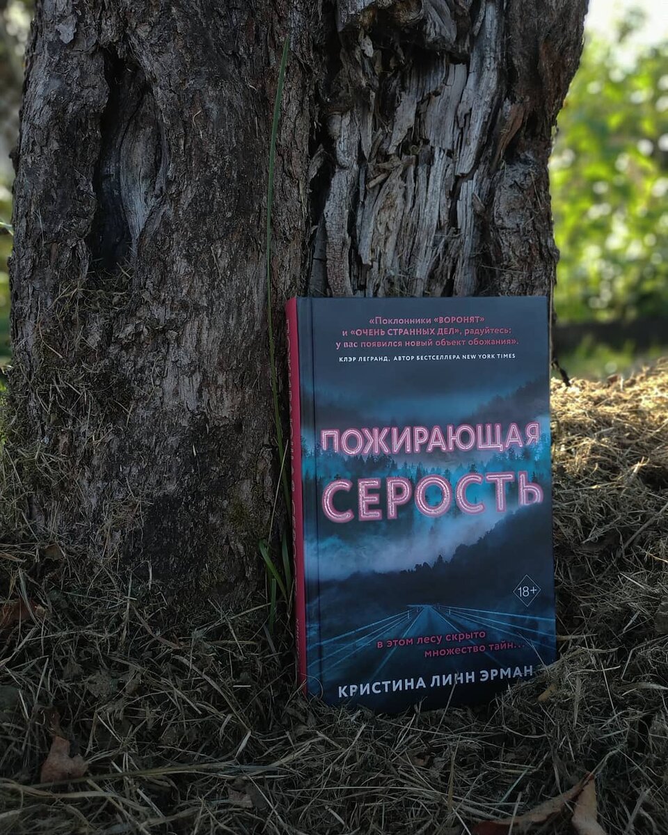 Кристина Линн Эрман - Пожирающая Серость обложка книги
