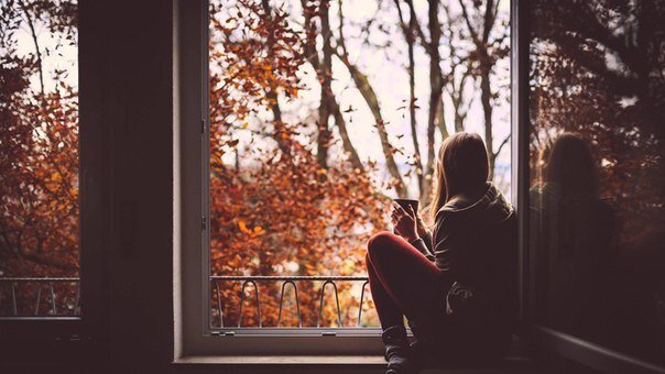                                                              Фото взято из интернета.