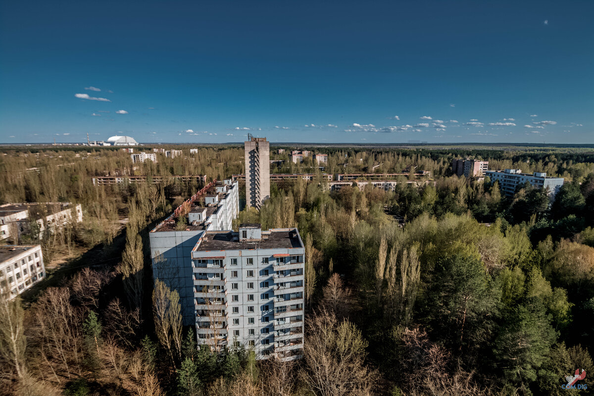 Каким образом на крышах самых высоких зданий Припяти выросли деревья?