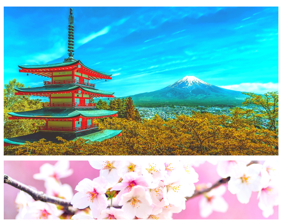 "Цветущая Япония"