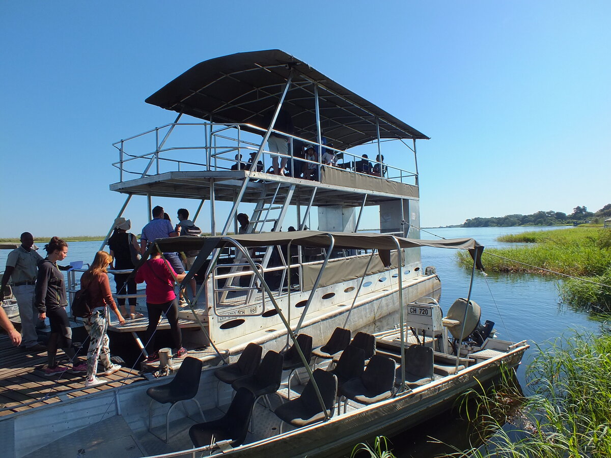 Парк Чобе. Ботсвана. Африка