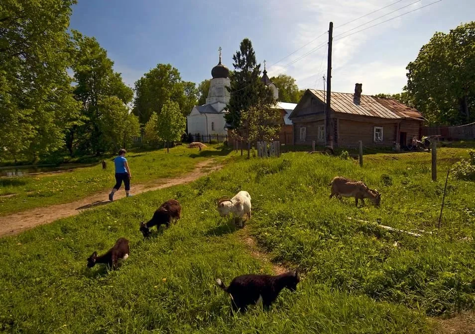 Жизнь в селе. Деревня деревенька. Моя деревня летом. Маленькая деревня. Современная жизнь в деревне.