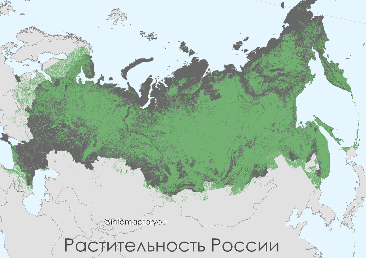 Где тайга занимает наибольшую площадь. Территория тайги на карте России. Зона тайги на карте России. Географическое положение тайги в России на карте. Тайга на карте России с границами.
