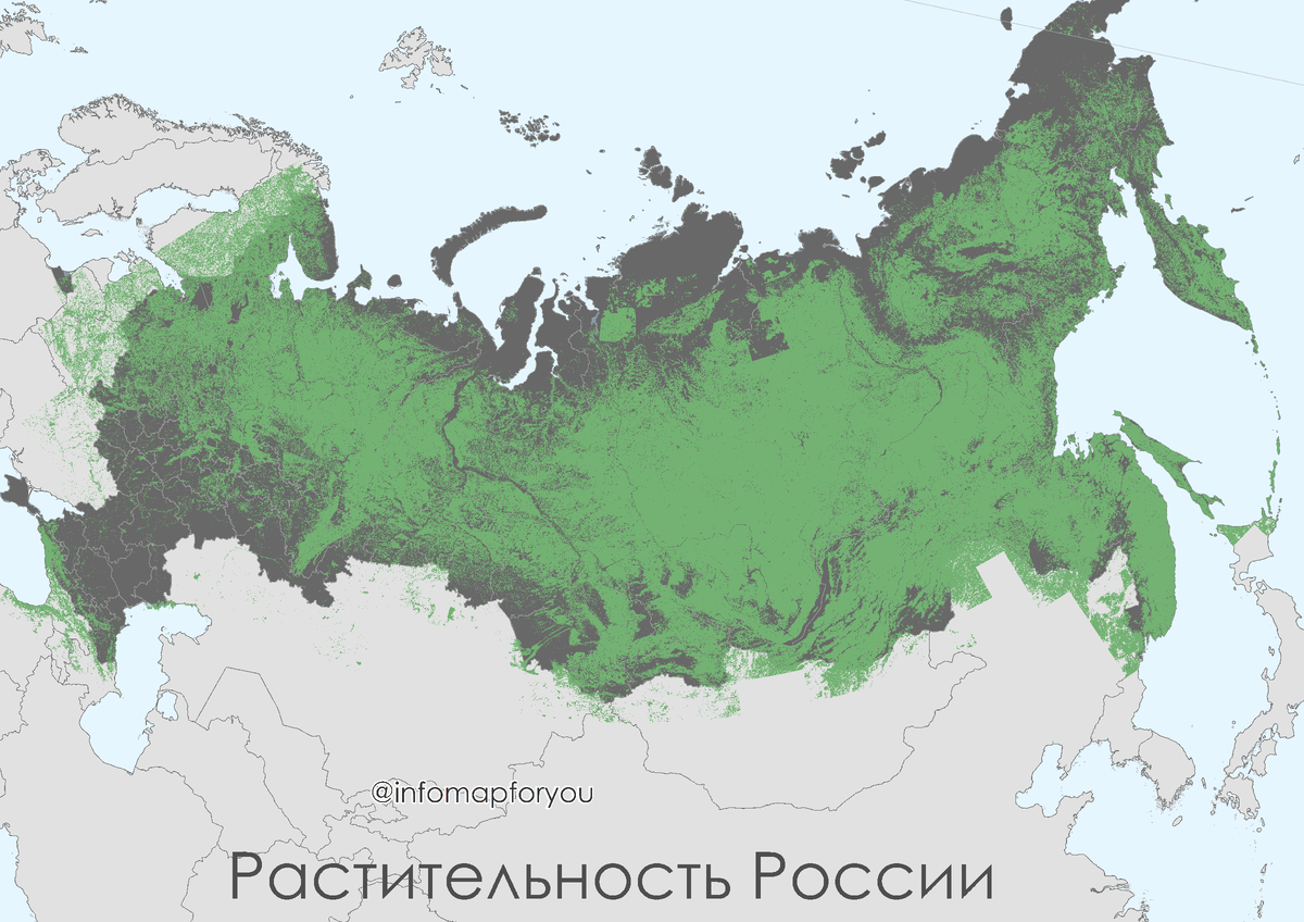 Географическое положение тайги в евразии. Территория тайги на карте России. Зона тайги на карте России. Географическое положение тайги в России на карте. Тайга на карте России с границами.