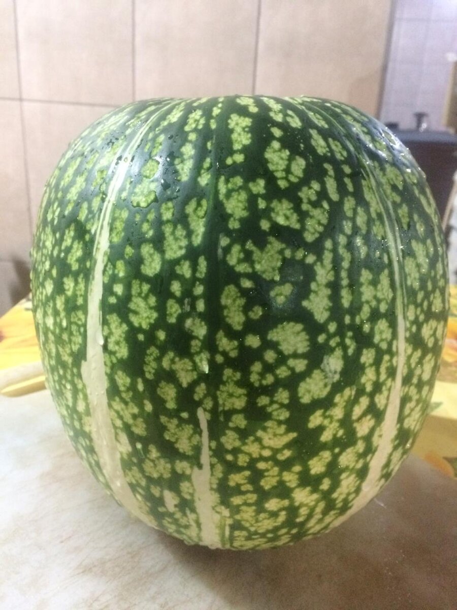 как арбузик