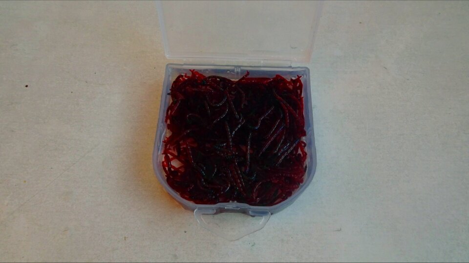 Как сохранить мотыль? / фото автора