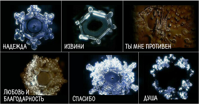 Крещенская вода под микроскопом frozen crystals show vibration of positive and negative words DIVINE ESSENCE FOU