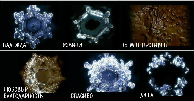 Молекулы под микроскопом. Атомы и молекулы Когда были сделаны первые фотографии молекул