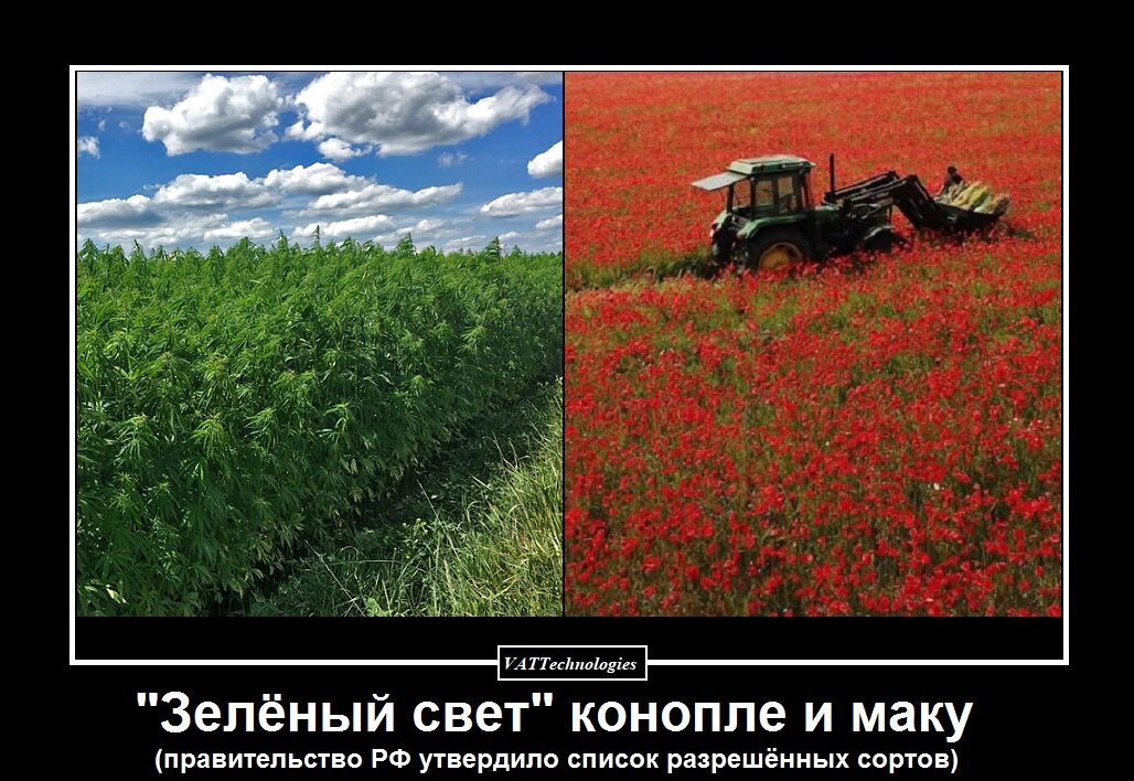 При создании картинки-мотиватора/демотиватора использованы фото, свободно взятые в сети Интернет