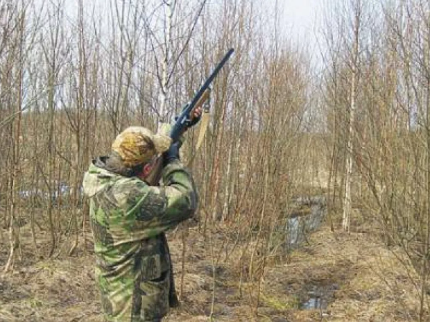 Из источников в свободном доступе