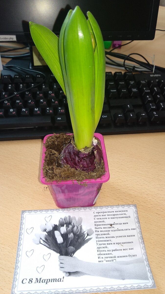 Приятный подарок от коллег-мужчин