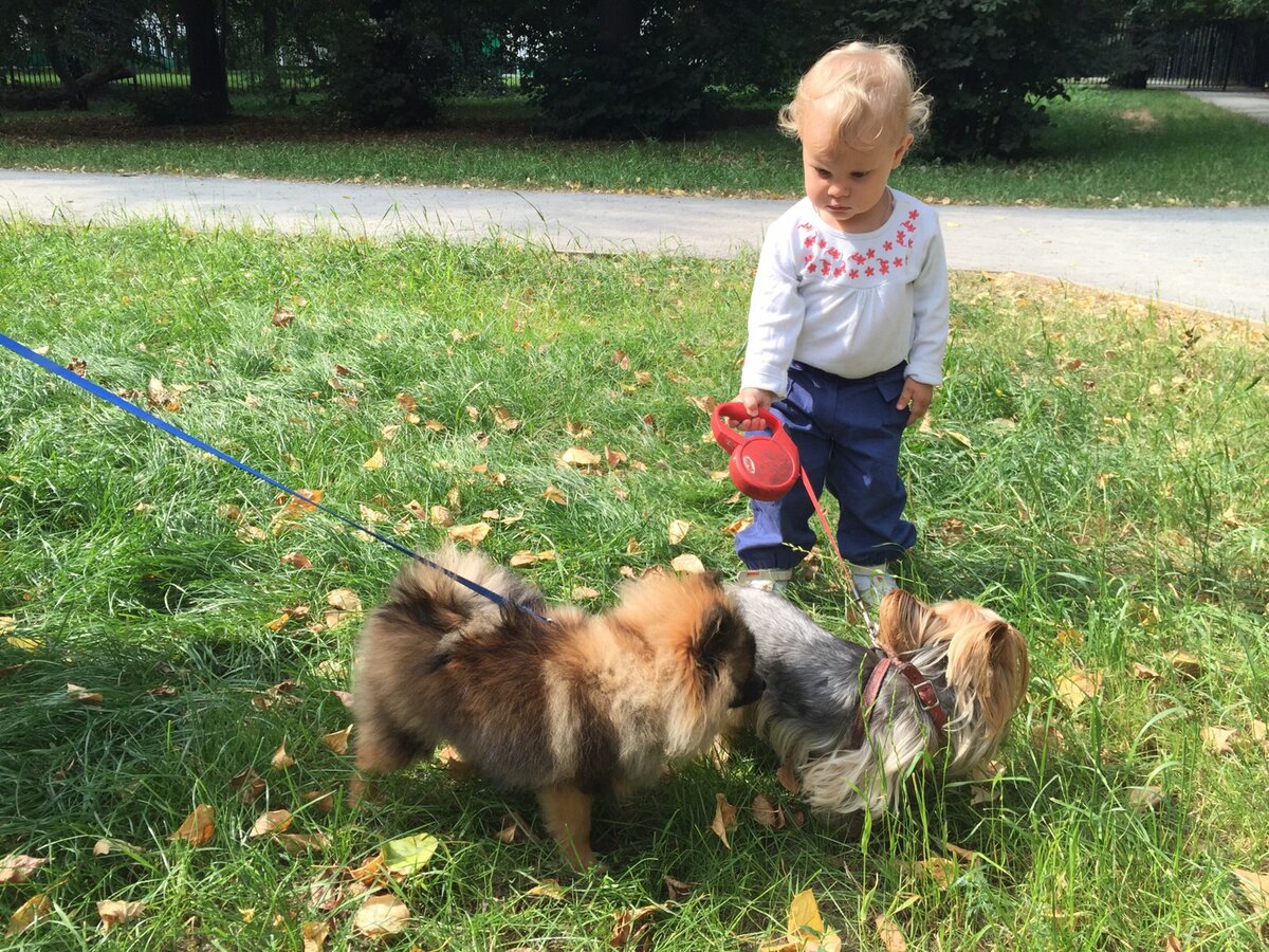 Моя дочь учится  повелительному наклонению