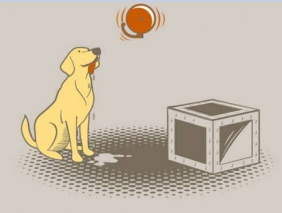 Вот такая симпатичная собачка Павлова